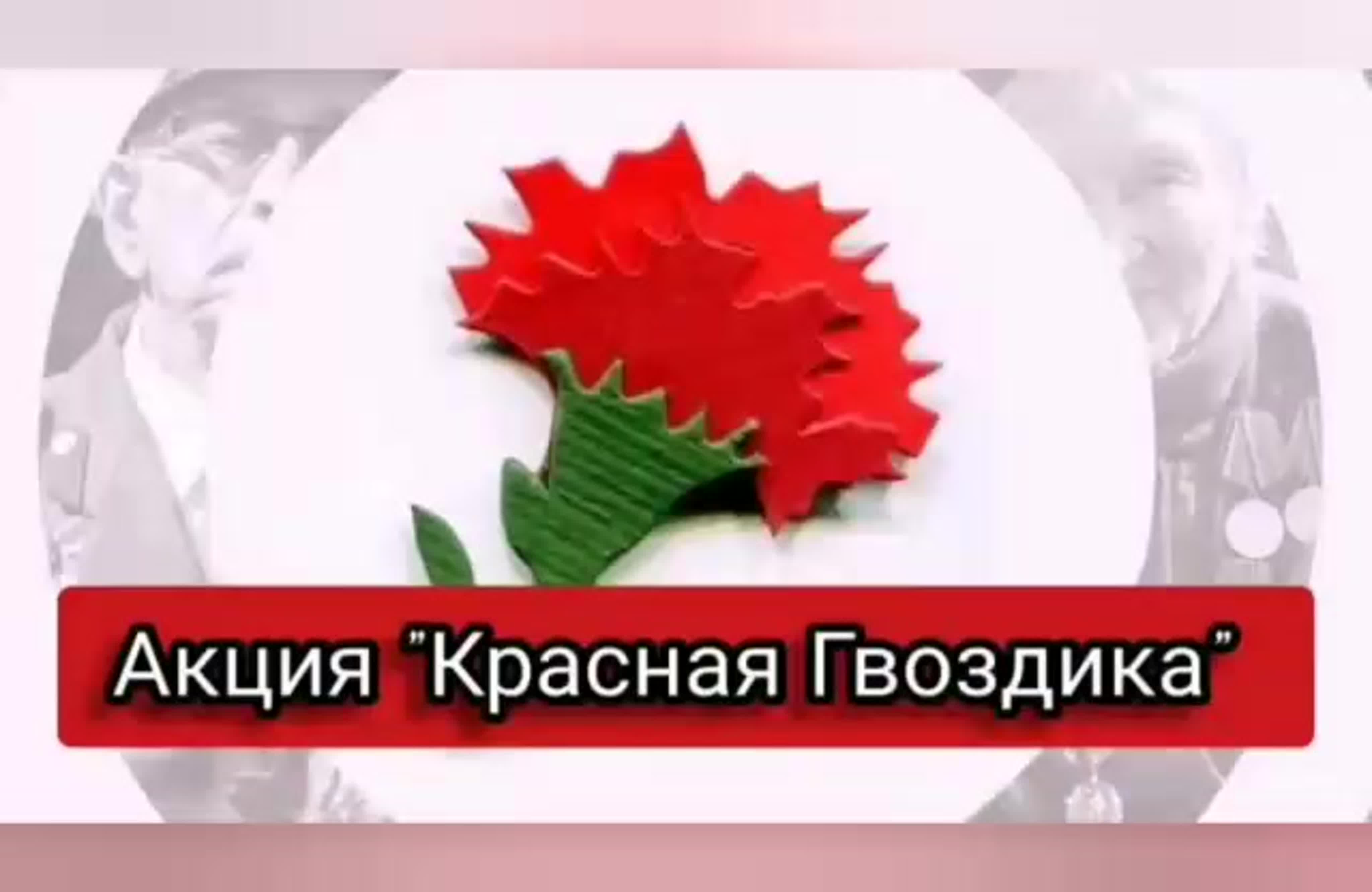 Krasnaya_gvozdika.jpg